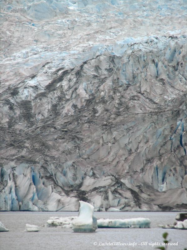Quelques petits icebergs devant le Mendenhall Glacier