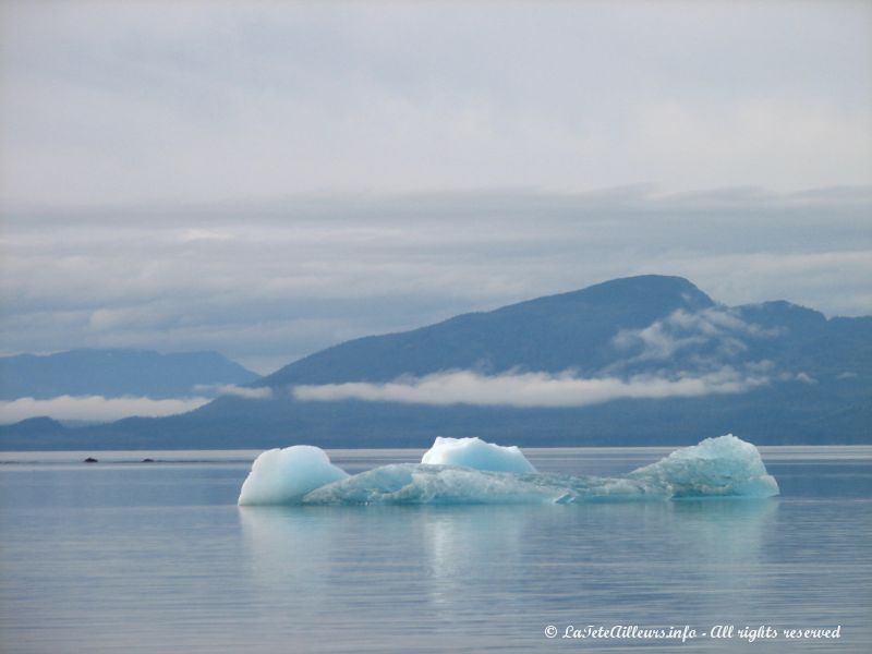 Des icebergs nous attendent a l'entree du Tracy Arms Fjord 