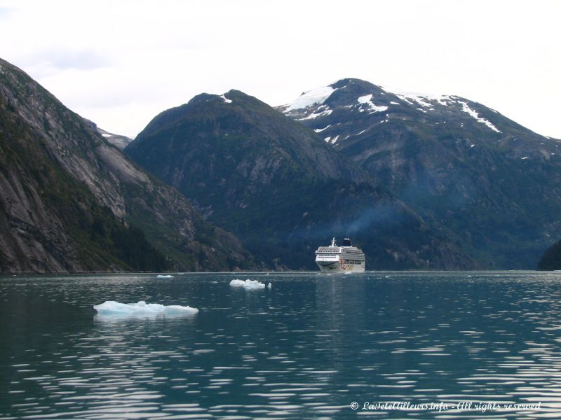 Un paquebot sillonant le Tracy Arms Fjord