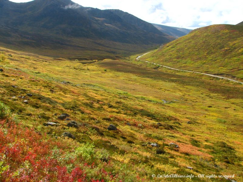 Paysages du Hatcher Pass