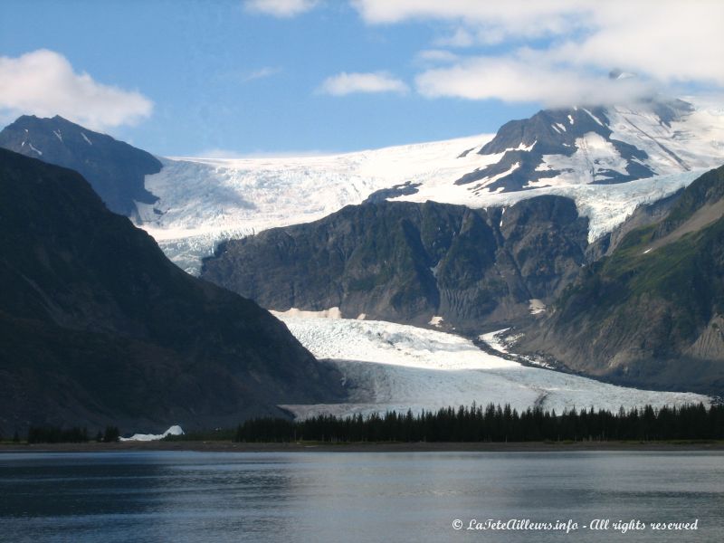 Le glacier Peterson