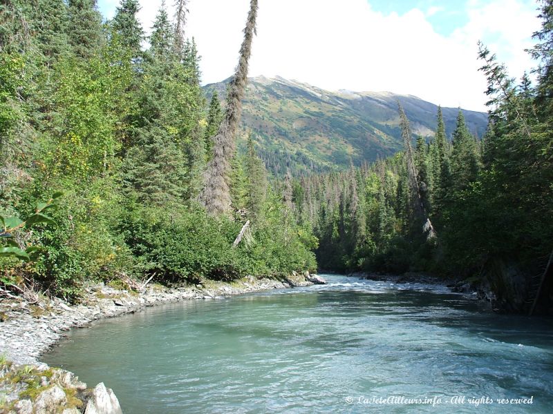 Une riviere longeant la route de Seward