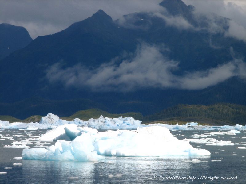 Des icebergs nous entourent de toutes parts