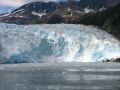 Devant le glacier flottent de nombreux petits icebergs