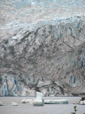 Quelques petits icebergs devant le Mendenhall Glacier