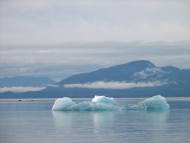 Des icebergs nous attendent a l'entree du Tracy Arms Fjord 