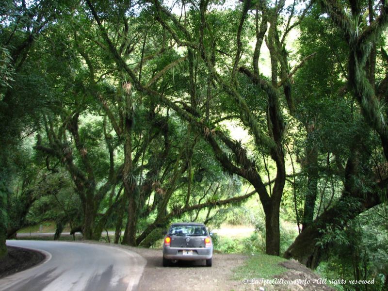 La route 9 de Salta à Jujuy