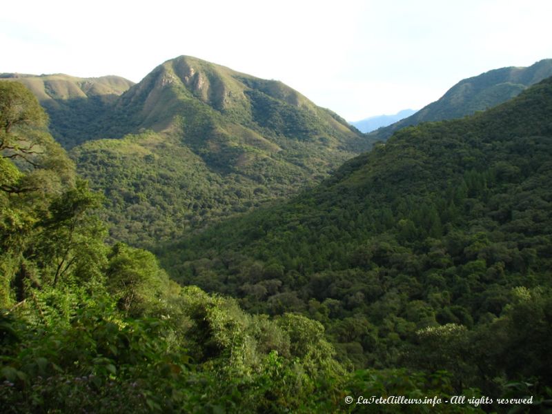 90 km bordés de forêts tropicales !