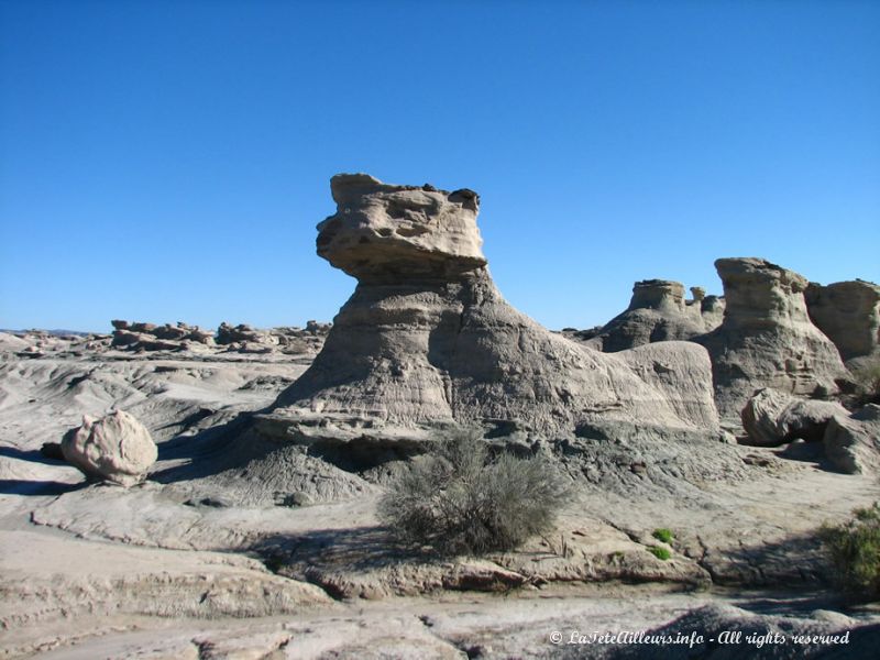 Le ''Sphinx'' semble vouloir jouer à la balle