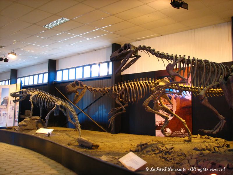 Le musée rassemble les fossiles de dinosaures trouvés ici