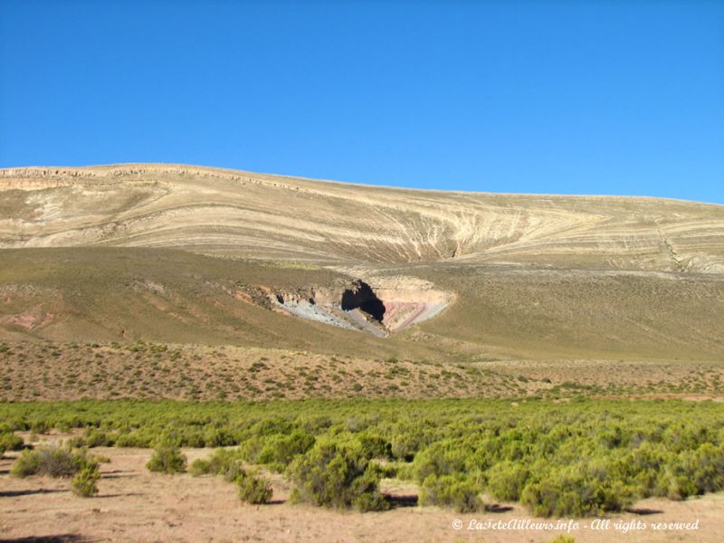 Paysages d'Altiplano argentin