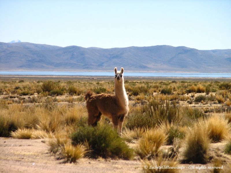 La lagune de Pozuelos vue de loin