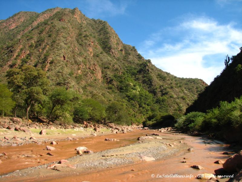 Un fleuve aux eaux très colorées