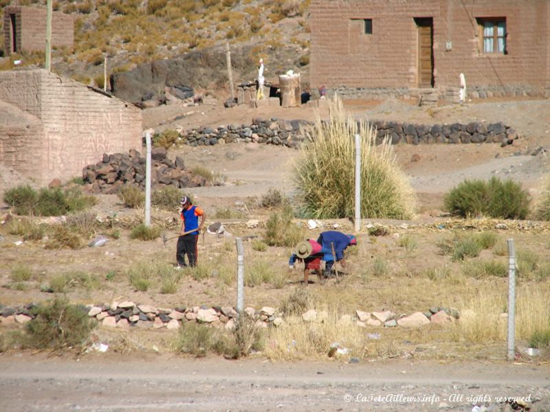 Paysans de San Antonio de los Cobres