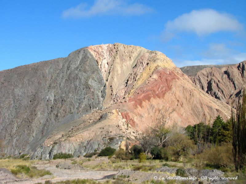 Le nord-ouest argentin, toujours des couleurs...