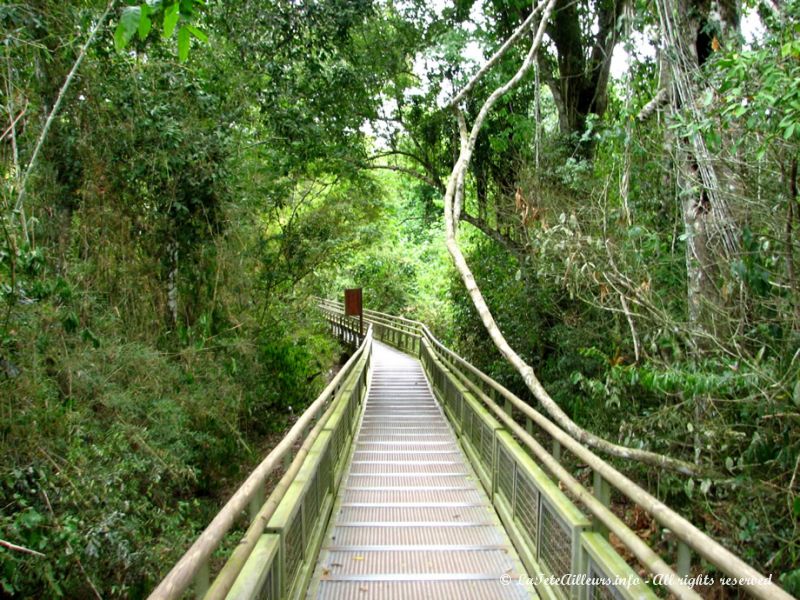 Les passerelles du ''sentier inférieur''