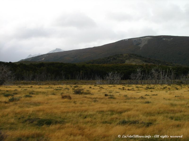 Paysages désolés de la Terre de Feu.