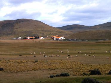 Une estancia et ses milliers de moutons