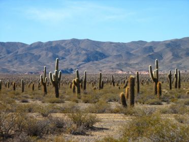 Le parc national Los Cordones