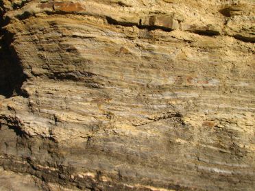 ... raison pour laquelle le parc a &eacute;t&eacute; class&eacute; par l'Unesco au patrimoine naturel de l'Humanit&eacute; 