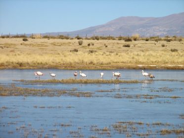 Petit &eacute;tang tout pr&egrave;s d'Abra Pampa