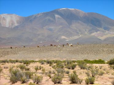 Une montagne dépassant les 6000 m d'altitude 