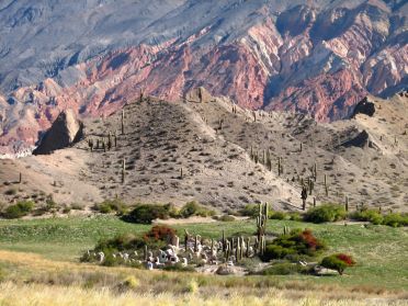 Un cimeti&egrave;re au milieu des couleurs...