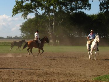 Au dix-huiti&egrave;me si&egrave;cle, les gauchos r&egrave;gnaient sur les vastes &eacute;tendues de la Pampa