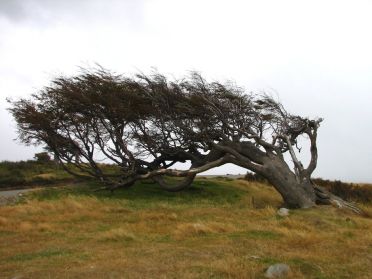 Non non, il ne touche m&ecirc;me pas terre !