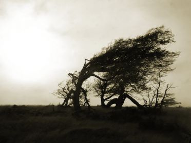 La force de la nature...