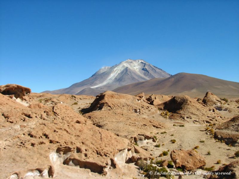 Champ de lave devant le volcan Ollague