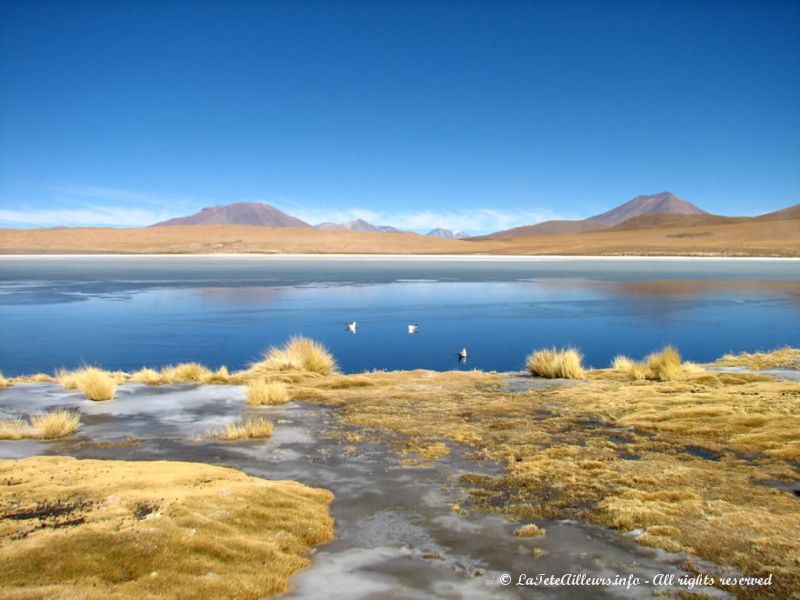 L'un des plus beaux paysages du Sud Lipez