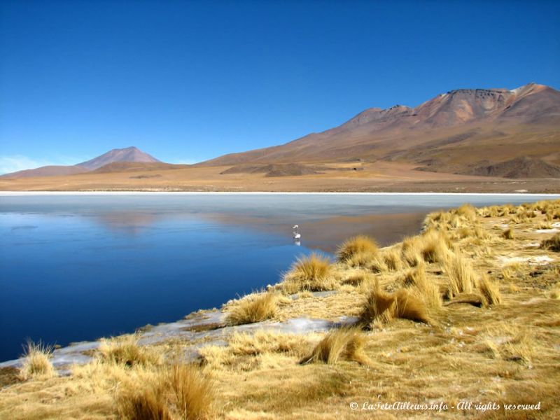 La lagune Cañapa, lieu magique...