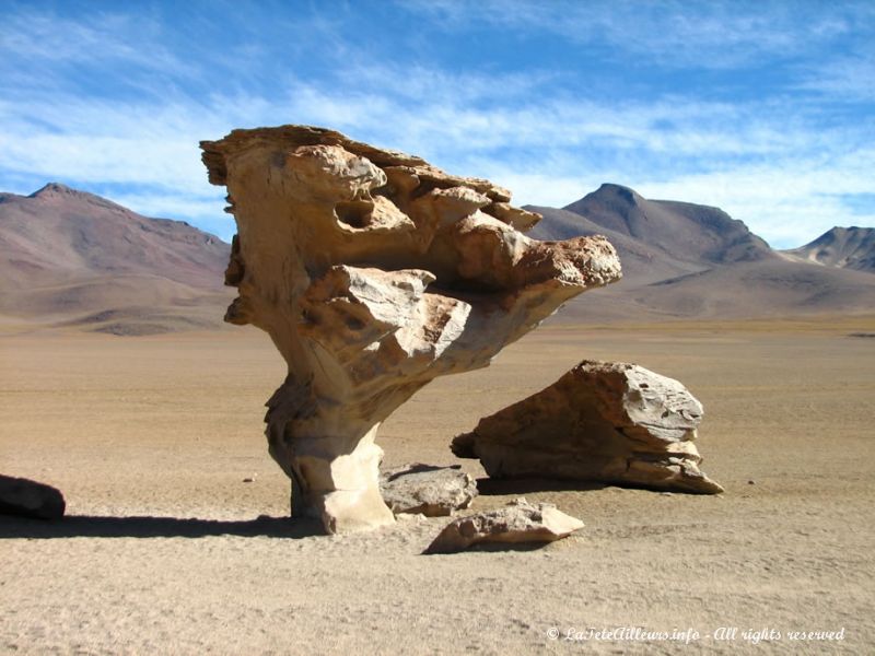 L'arbre de Pierre, au sud Lipez bolivien