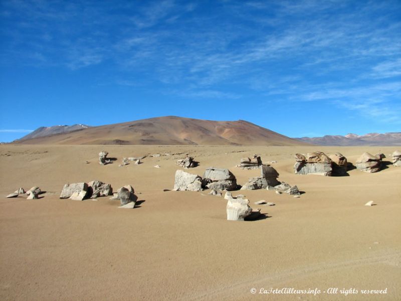 Pierres sculptées par les vents du désert de Siloli