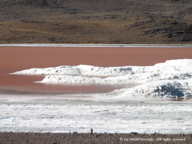 Le borax (blanc) entoure cette lagune