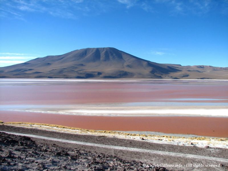 La laguna Colorada, encore une merveille de Bolivie !!!
