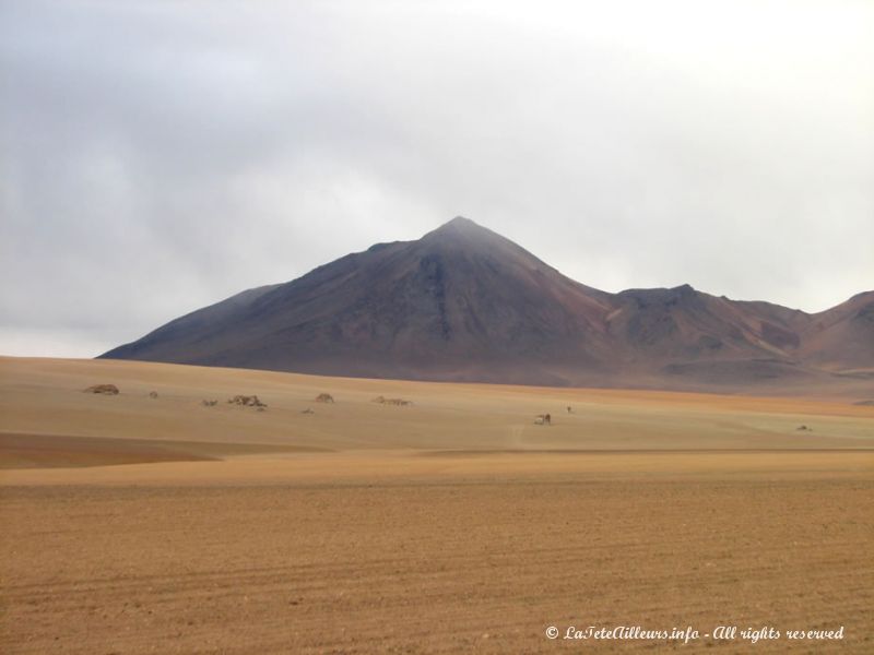 Le désert de Dali sous la brume