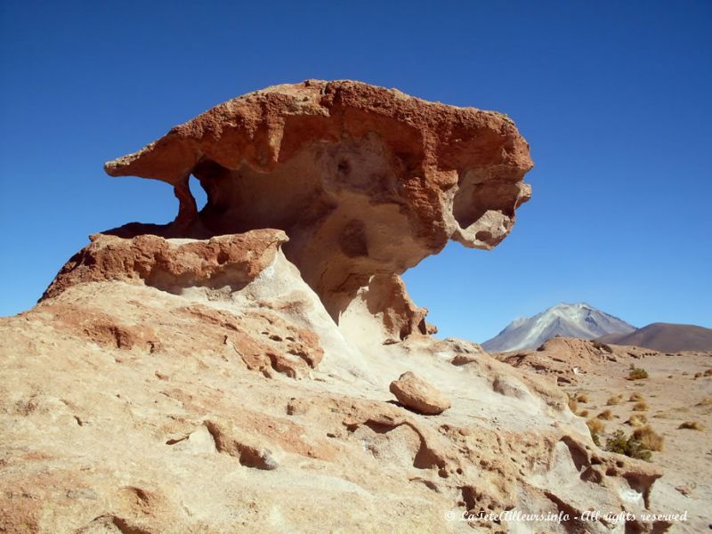 Des rochers aux formes extravagantes...