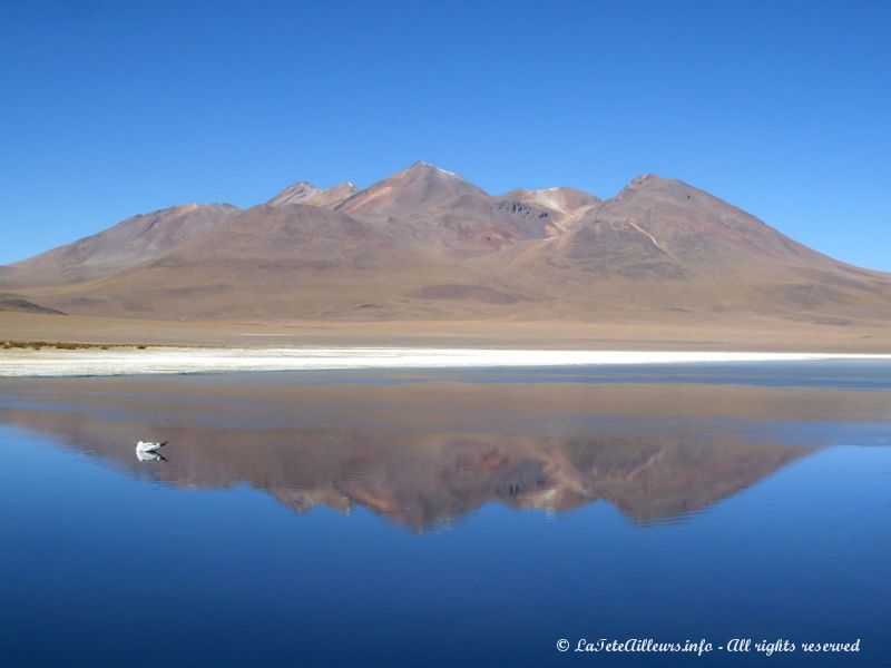 Montagnes boliviennes se réfléchissant dans la lagune Cañapa
