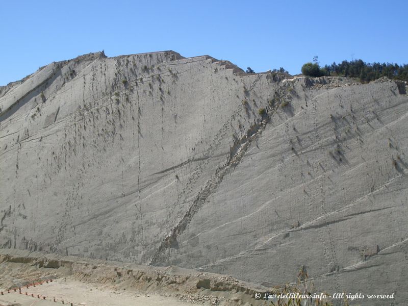 La falaise laisse apercevoir de nombreuses traces de pattes de dinosaures