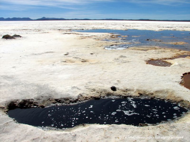 La remontée des eaux au Salar d'Uyuni