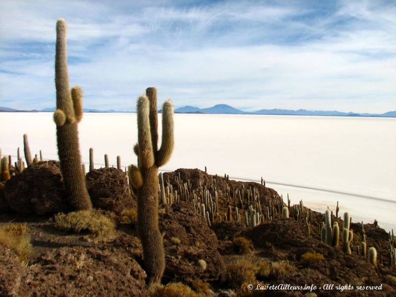 Paysages du Salar d'Uyuni