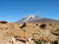 Champ de lave devant le volcan Ollague