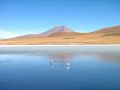 La lagune Cañapa, merveille du Sud Lipez bolivien