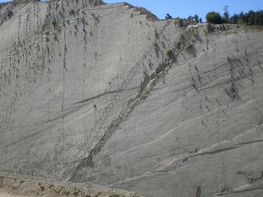 Même à l'oeil nu, on distingue très bien les chemins pris par les dinosaures