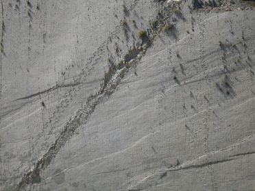 Des traces de pattes incroyablement conservées !