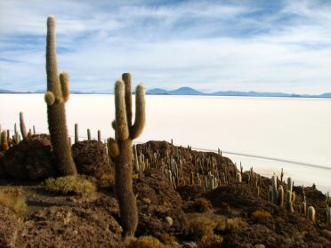 Paysages du Salar d'Uyuni