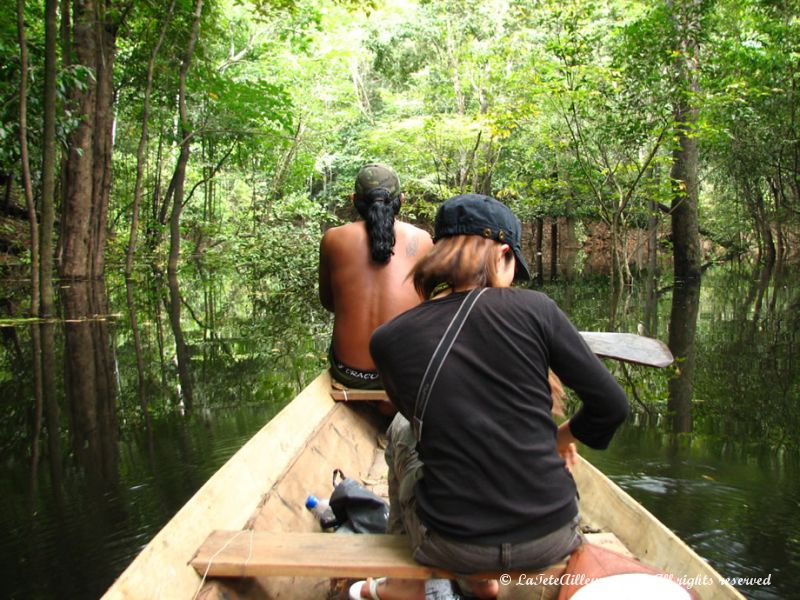 Super que d'évoluer dans la forêt amazonienne en canoë !