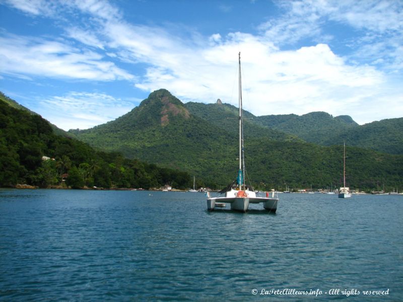 Un catamaran mouillant dans la baie d'Abraão